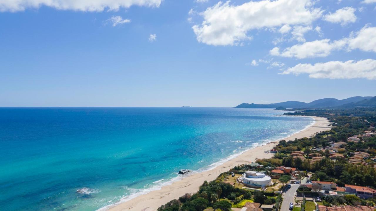 Free Beach 1240 - 50 Mt From The Beach Коста Рей Екстериор снимка